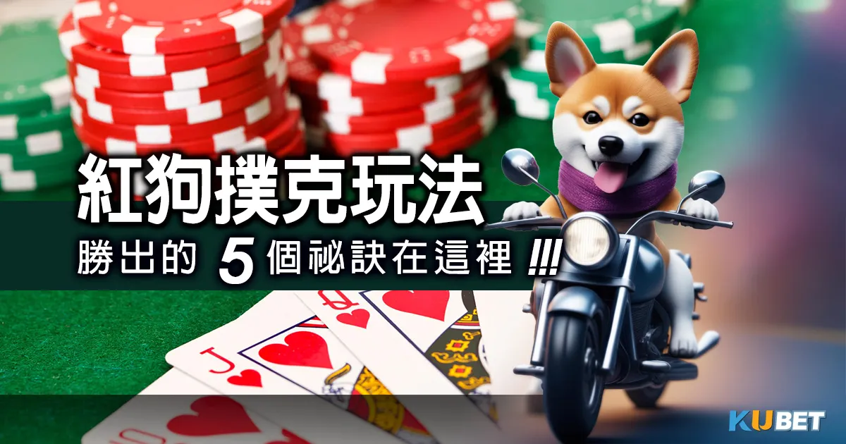 《紅狗撲克玩法》公開攻略法：勝出的5個祕訣在這裡！